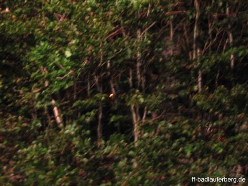 2011_06_02 Waldbrand Kummel Richtung Bismarkturm 02